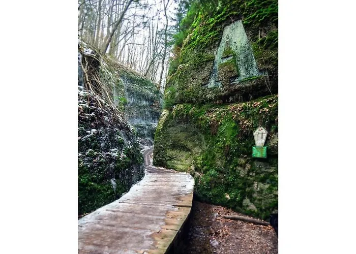 Vakantiehuis 1-bedroom *